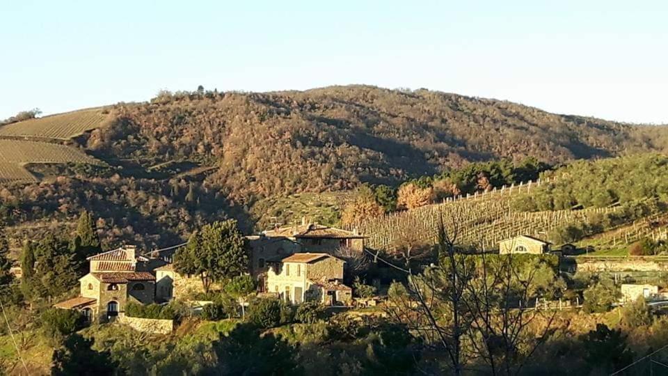 Agriturismo Poggio All'Olmo Villa Greve in Chianti Exteriör bild