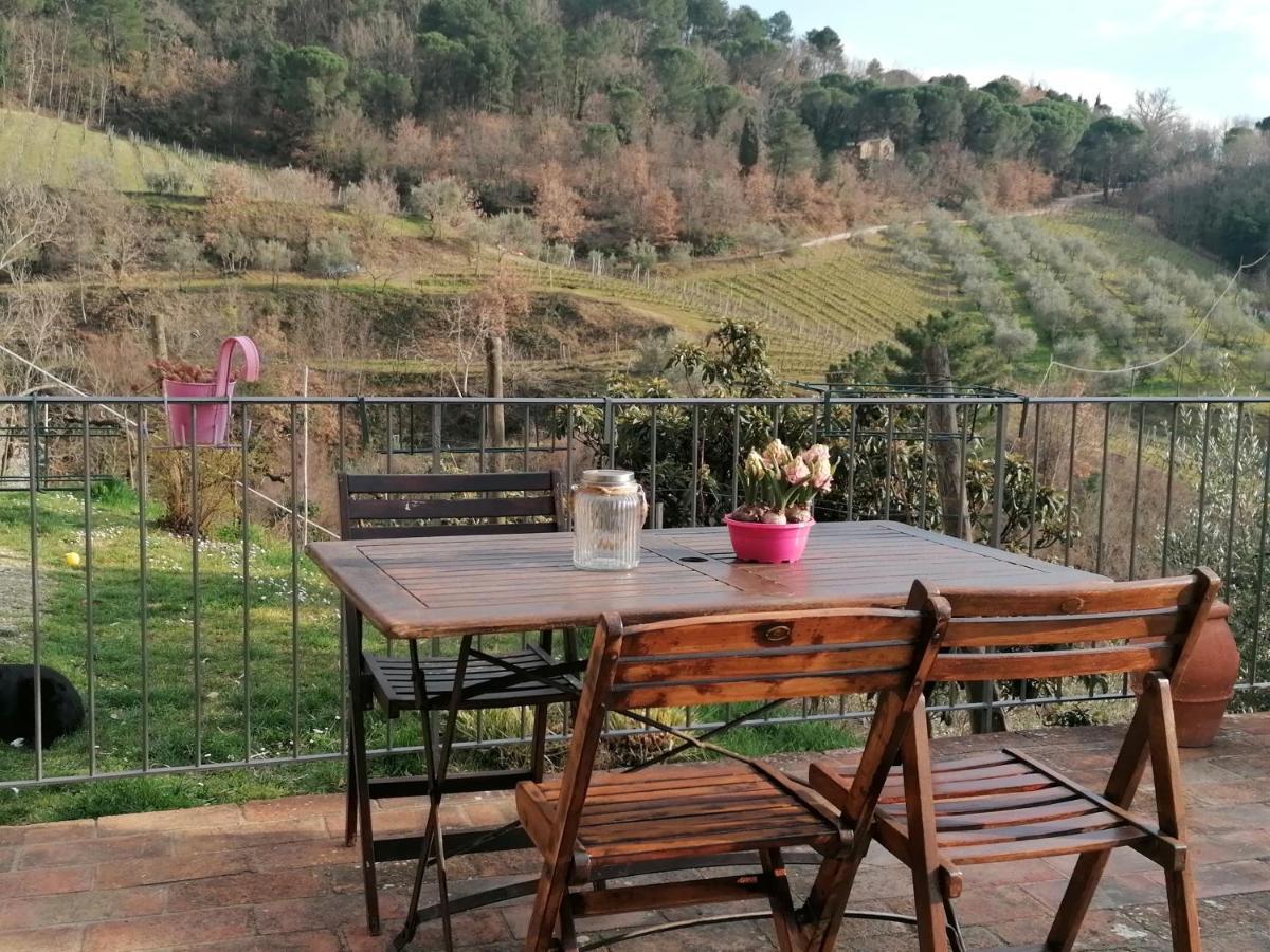 Agriturismo Poggio All'Olmo Villa Greve in Chianti Exteriör bild