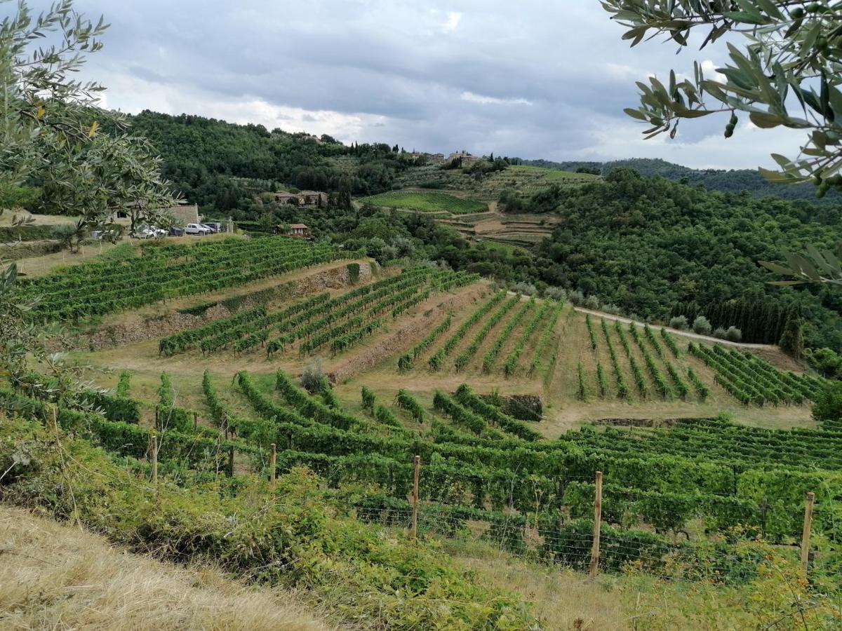 Agriturismo Poggio All'Olmo Villa Greve in Chianti Exteriör bild