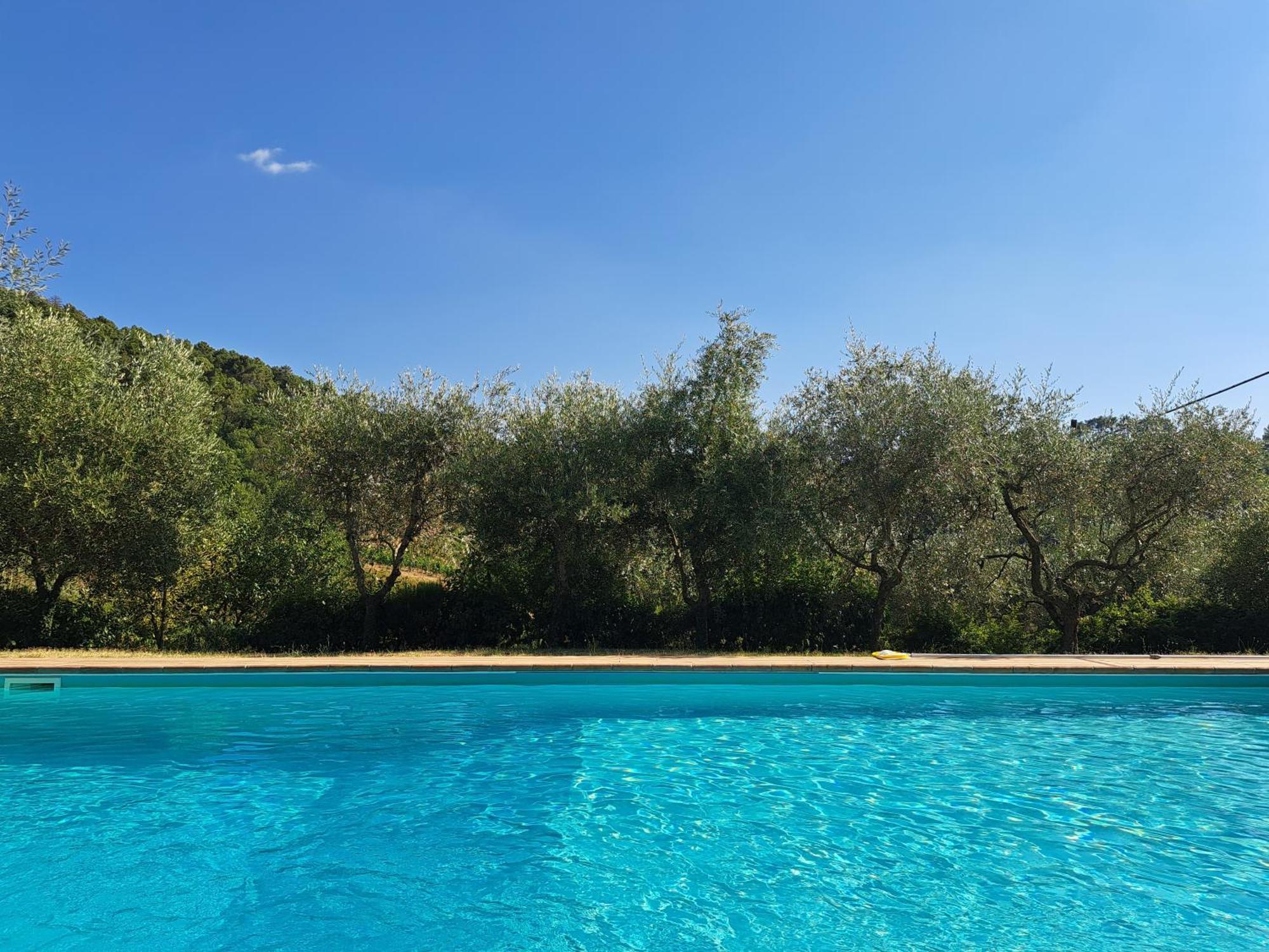Agriturismo Poggio All'Olmo Villa Greve in Chianti Exteriör bild