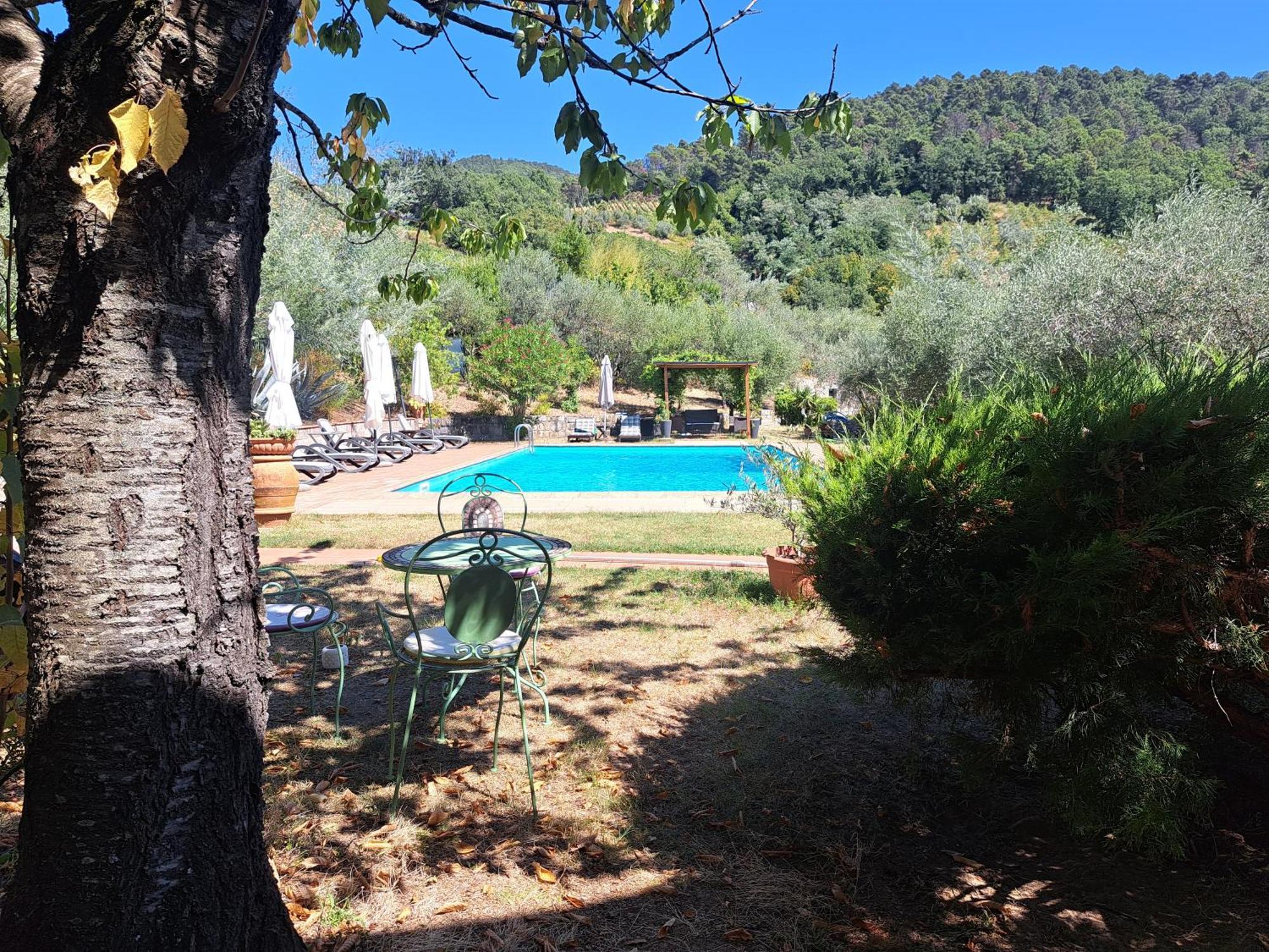 Agriturismo Poggio All'Olmo Villa Greve in Chianti Exteriör bild