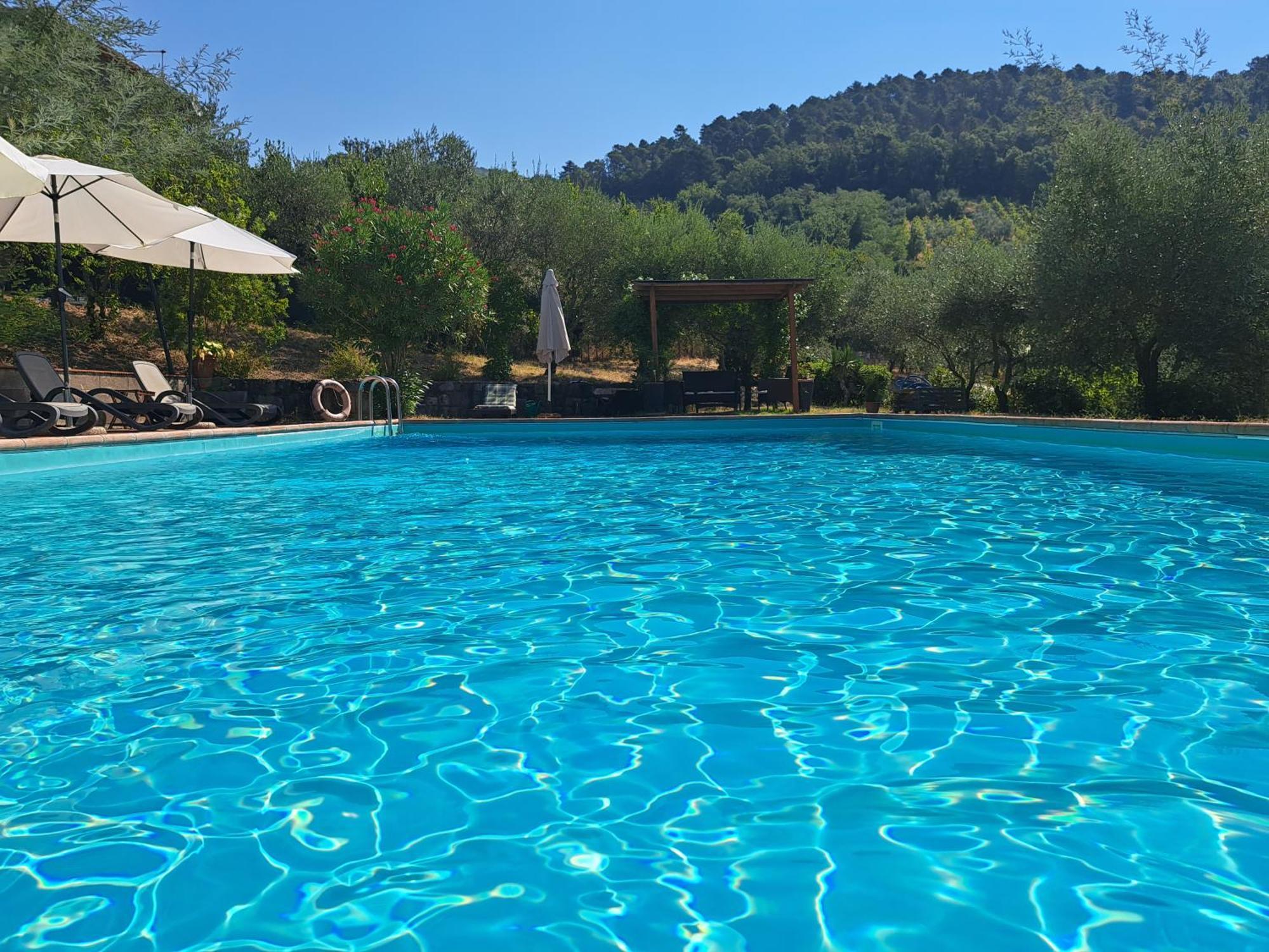 Agriturismo Poggio All'Olmo Villa Greve in Chianti Exteriör bild