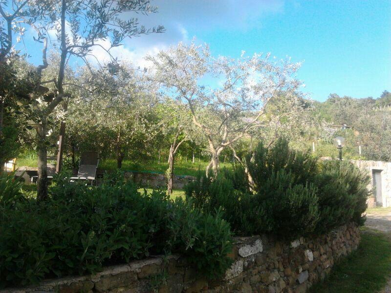 Agriturismo Poggio All'Olmo Villa Greve in Chianti Exteriör bild