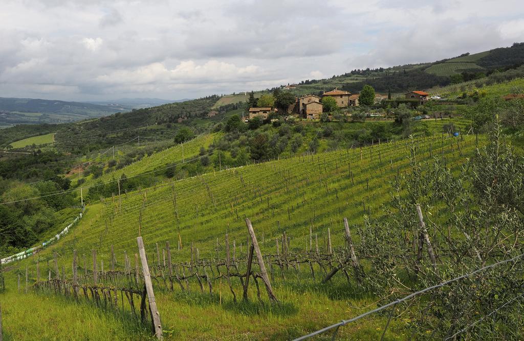 Agriturismo Poggio All'Olmo Villa Greve in Chianti Exteriör bild