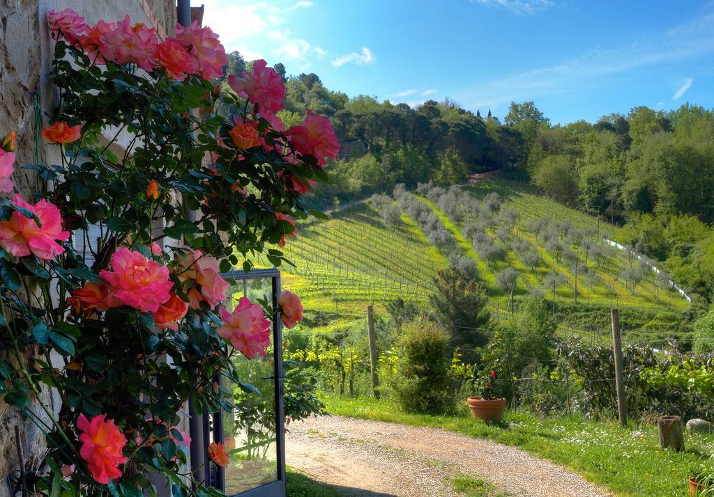 Agriturismo Poggio All'Olmo Villa Greve in Chianti Exteriör bild
