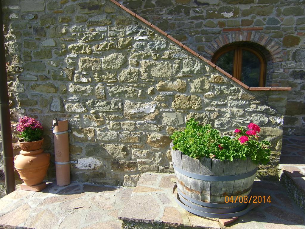Agriturismo Poggio All'Olmo Villa Greve in Chianti Exteriör bild