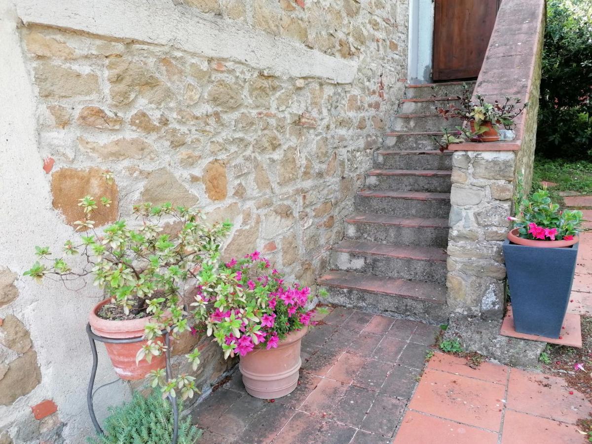 Agriturismo Poggio All'Olmo Villa Greve in Chianti Exteriör bild